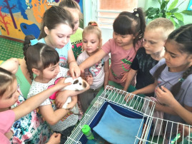 Домашние питомцы Домашние питомцы.
