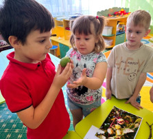 Дерево жизни Дерево жизни.