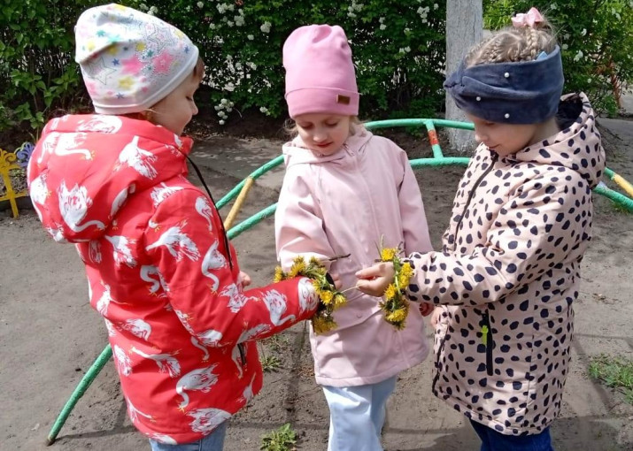 Одуванчики Одуванчики.